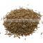 CUMIN SEED SINGAPORE QUALITY