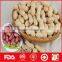 2016 new crop fresh blanched peanut kernels
