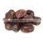 Mazafati Fresh Dates