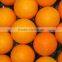 Imagine Valanica Orange