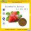 GMP manufacturer supply good quality strawberry flovor extract powder