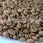 Manufacturer of Vietnam Wet Polished Robusta Green Coffee Beans Screen 18