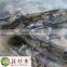 High Quality Food 100% natural Shiitake Mushroom with free samples