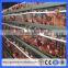 3/4 tier chicken layer battery cage for tanzania poultry farm/poultry battery cage system(Guangzhou Factory)