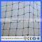 Export to USA 100%virgin HDPE Anti Bird Netting/bird netting manufacturer(Guangzhou Factory)