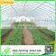 Used Galanized Steel Pipe Greenhouse for Sale