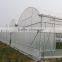 Plastic Film Covered Greenhouse For Mushroom&Roses