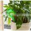 Colored Plastic Ball Shaped Automatic Waterer for Pot Plant Flower Watering Balls