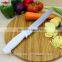 ZY-B1054 10 inch multi-functional chef knife with comfortable PP handle