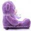Soft Stuffed Purple Bear Plush Wholesale