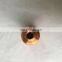 Top Quality DCi11 SPARE PARTS 5010295301 fuel injector sleeve