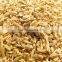 Fine Grade Withania Somifera Powder Sale And Export