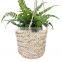 Natural Eco Friendly Seagrass Hanging Planter Pot Basket From Vietnam