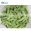 New Crop Organic IQF Soybeans Frozen Edamame in Pods Salted Soybeans