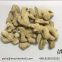 Manufacturer Direct Supply Bulk Dried Ginger Chips