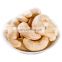 raw  white whole cashew buyers cashew nuts splits cashew nuts 2022