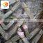 Anti Climb Spike bird spike Complete in sizes