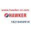 HAWKER PERFECT PLUS 80V 6PZS750 traction batteries