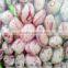 light speckled kidney beans of good quality