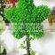 High emultion green decorative artificial star shaped potted bosai
