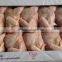 Grade A Halal Brazilian whole frozen chicken, Chicken Parts, Brazilian Origin