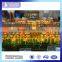 TOP selling 3D architectural design model , commercial model builder for college