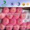 China Suppliers FDA Approved Food Grade Plastic Packing Mesh Sleeve Net For Mango