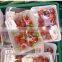 Supermarket Display Customizable High Quality With Absorbent Pad PP Meat Storage Containers
