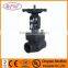 class150 gate valves forged steel
