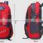 Premiun quality OEM logo customzied Cycling bags school laptop daily backpack Camping travel outdoor Sport hiking Backpack