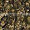 TSAUTOP 0.5M/1M width New Arrival Camouflage Tree inkjet water transfer print film hydro printing film hydrographic film P674-1