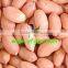 china hot sale peanut kernel red shine skin top quality big size