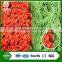 Paddle Tennis Court artificial grass of sports / special wholesale