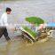 Two rows mini rice transplanter for sale