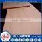 veneer mdf wood factory direct of shandong LULI GROUP China