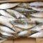 60-70g Sardine For Tuna Bait