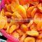 Market price best selling fresh Dehydrated Apricot