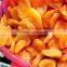 Market price best selling fresh sweet Sun Dried Apricot