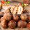 Organic Roasted Chestnuts in Shell Halal Snacks