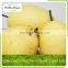 Fresh Golden Pear Class 1 Sweet Golden Pear Organic Golden Pear 1