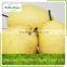 Fresh golden pear class 1 sweet golden pear organic golden pear 1