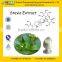 Natural Sweetener Stevia Extract from GMP Manufacture