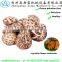 fresh shiitake mushroom /high quality xianggu for sale