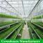Customized High Quality Polycarbonate Sheet Agricultural Greenhouses