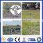 high quality Field fence factory with best price