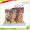 70 Times Skin Medical Anatomical Teaching Model For Biology