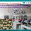 Capacity 200-250kg/h fully automatic floating fish food pellet making machine for sale