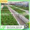 Vertical greenhouse growing system