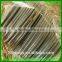 BWG16 low price electro galvanized iron wire