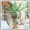 Hot sale artificial outdoor date palm trees fiberglass 6 meter for palm tree wedding decorations tree